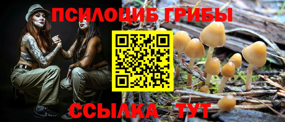 Псилоцибиновые грибы прущие грибы  Галлюциногенные грибы ЛСД  Вход с VPN  Кинель 